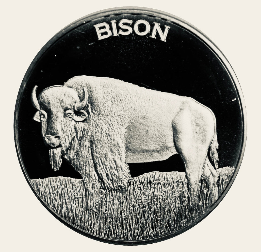 1 oz Silver Round - Bison